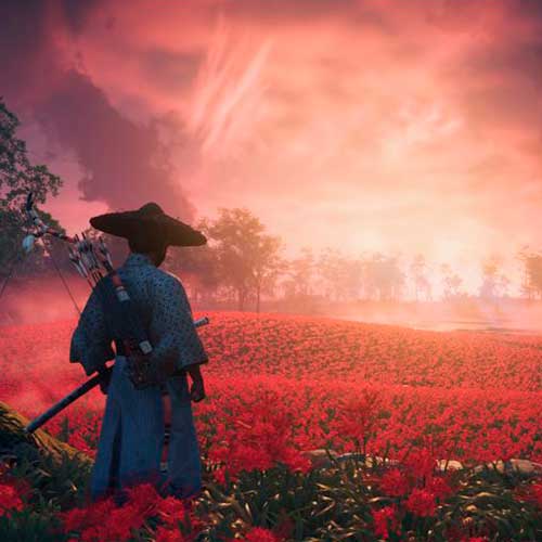Ghost of Tsushima DIRECTOR'S CUT Cd Key Steam Global